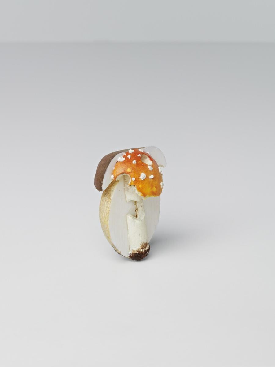 Fliegenpilz/Steinpilz (Vliegenzwam/Eekhoorntjesbrood)