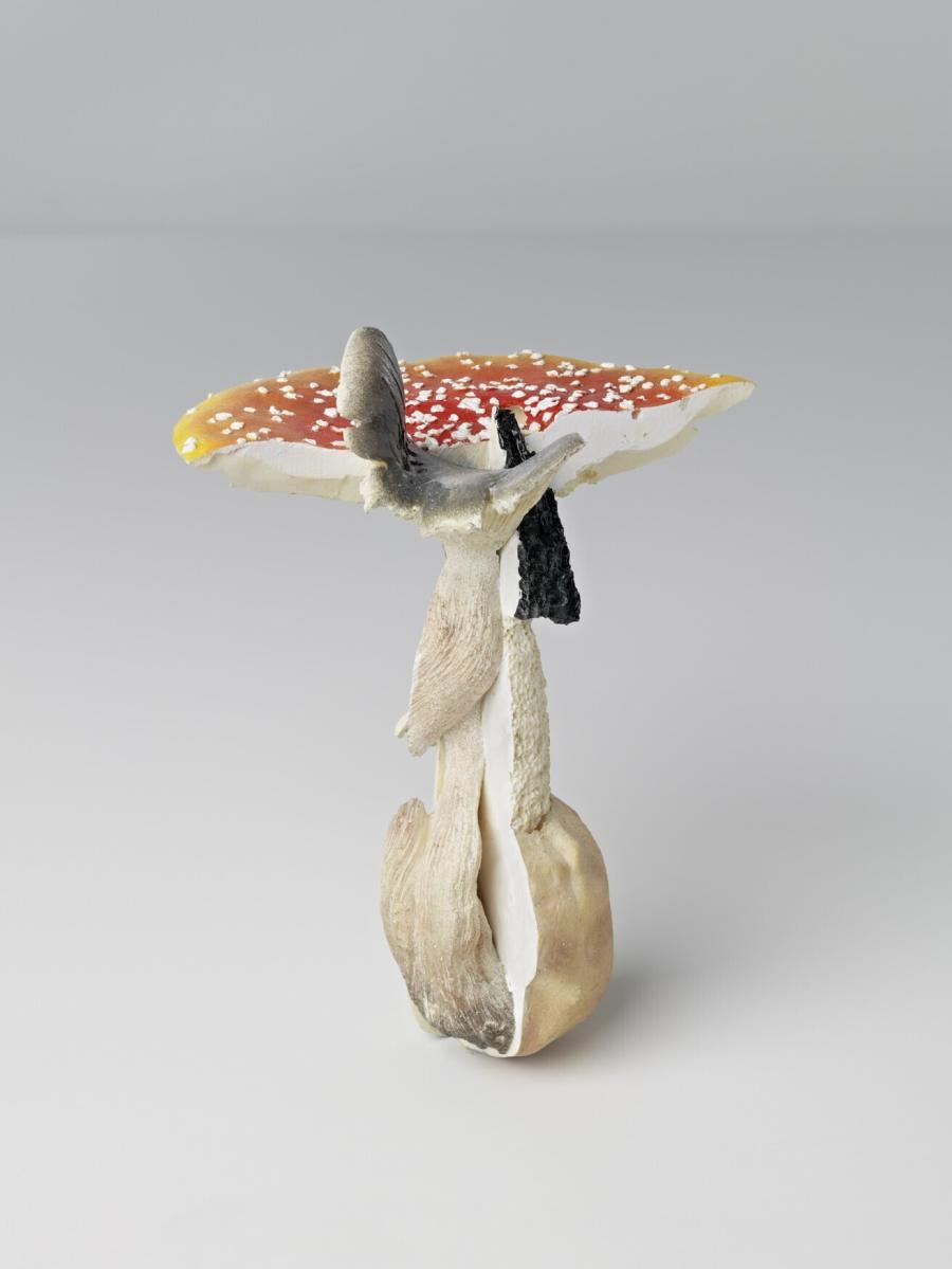 Fliegenpilz/Nebelkappe/Stinkmorchel