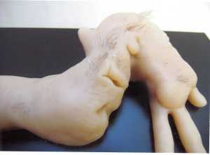 TMSFoto/MK/BEK 1871 (MK).jpg