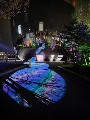 TMSFoto/MK/BEK 2053 (MK)_4.jpg