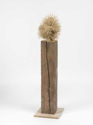 TMSFoto/MK/BEK 2080 (MK)_schuin_TH20240312.JPG