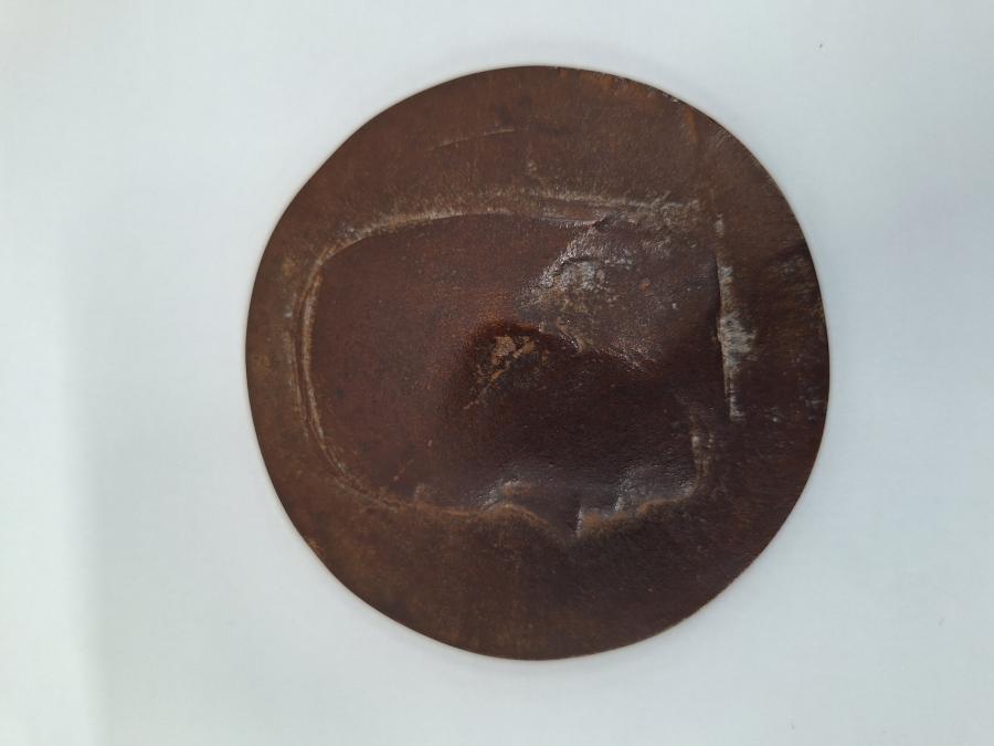 Gerrie van der Velden