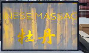 peony-king-of-flowers