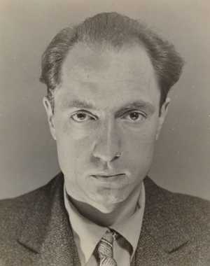 de-historicus-arthur-lehning