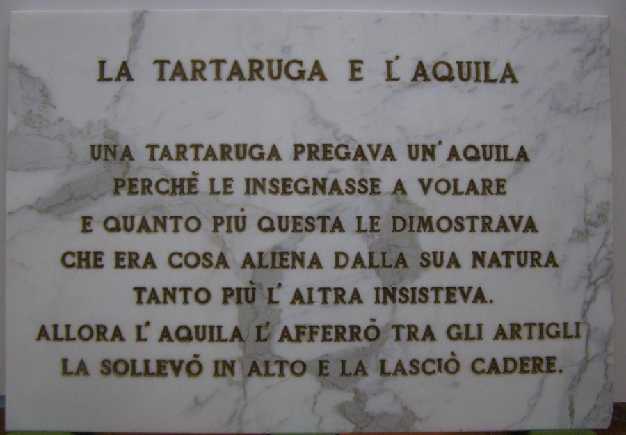 La tartaruga e l'aquila (De schildpad en de adelaar)