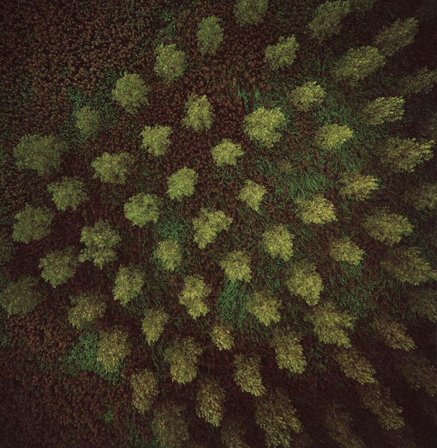 Untitled (# 132401) (Zonder titel (# 132401))