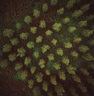 untitled-132401-zonder-titel-132401