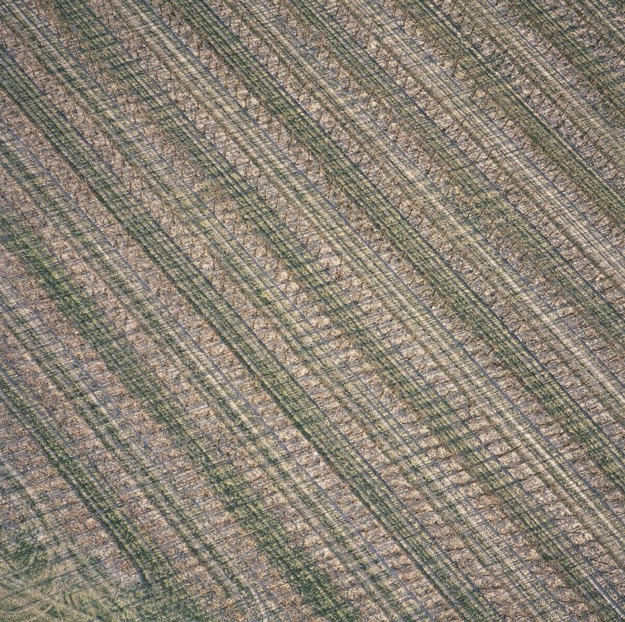 Untitled (# 132404) (Zonder titel (# 132404))