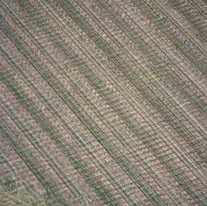 untitled-132404-zonder-titel-132404