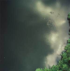 untitled-651505-zonder-titel-651505