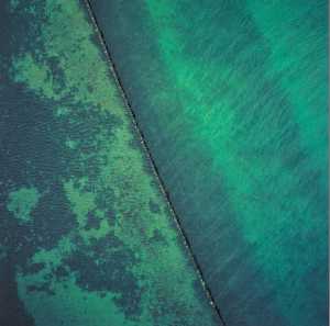 untitled-476622-zonder-titel-476622