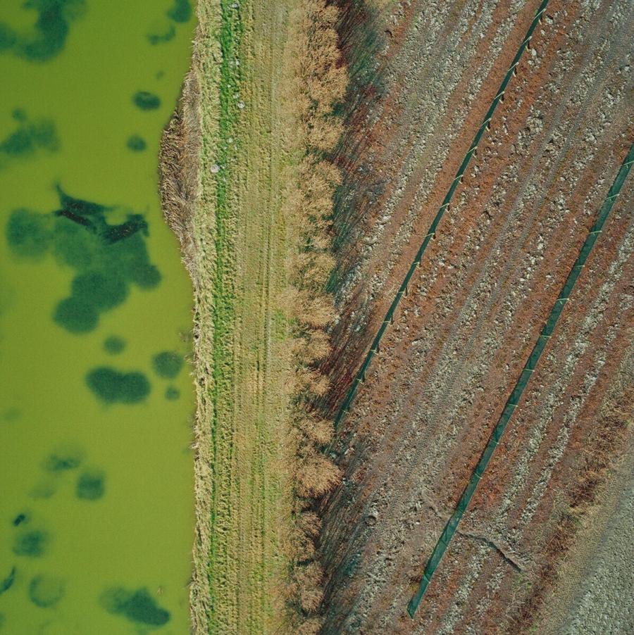 Untitled (# 476605) (Zonder titel (# 476605))