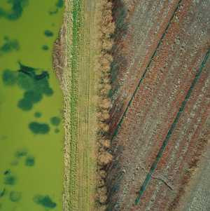 untitled-476605-zonder-titel-476605