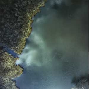 untitled-336226-zonder-titel-336226