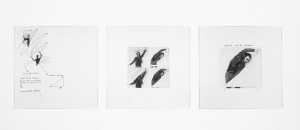 portrait-of-the-absence