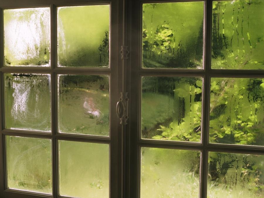 In the Distance (In de verte)