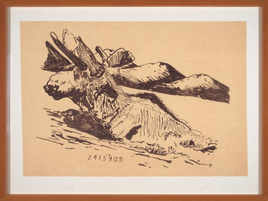 Moose at 2415905 (Moose at 2415905)