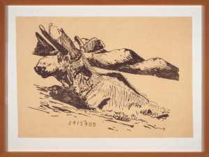 moose-at-2415905-moose-at-2415905