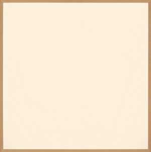 pure-polygon-series-pure-polygon-series