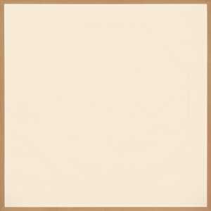 pure-polygon-series-pure-polygon-series