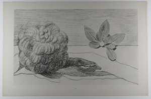 les-champs-d-honneur-les-inondations-les-plantes-sismiques