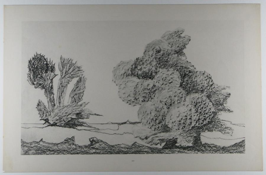 The Start of the Chestnut