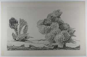 the-start-of-the-spanish-chestnut