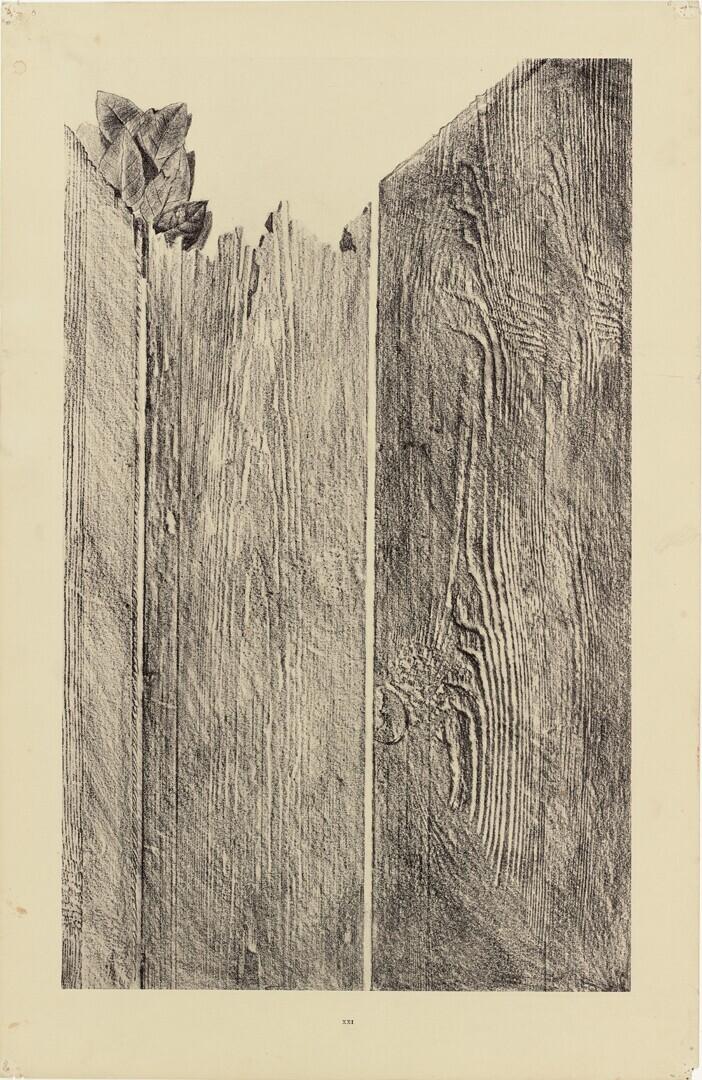 Rasant les murs (Het koesteren van de muur
)