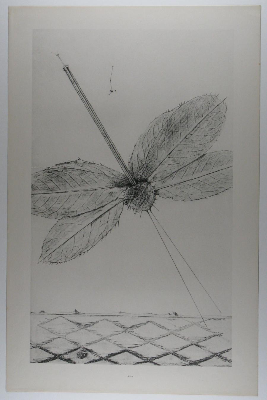 Les éclairs au-dessous de quatorze ans