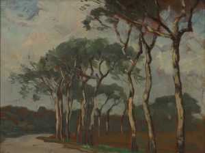 De Veerse weg