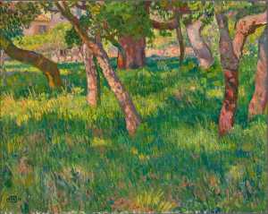 chenes-lieges-a-saint-clair-kurkeiken-in-saint-clair