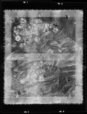 TMSFoto/MK/St 92_XRF_STITCH_RKG2020_06-11.jpg