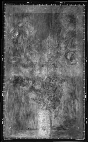 TMSFoto/MK/VdV 51_XRF_STITCH_RKG2020_06-11.jpg