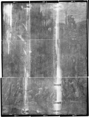 TMSFoto/OK/1007 (OK)_XRF_montage_RKG2020_06-11.jpg