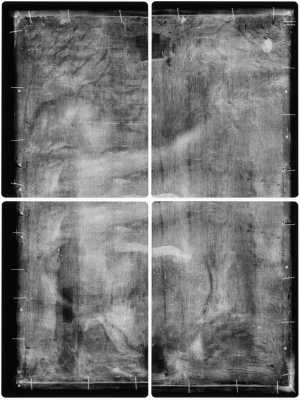 TMSFoto/OK/1172 (OK)_XRF_montage_RKG2020_06-11.jpg