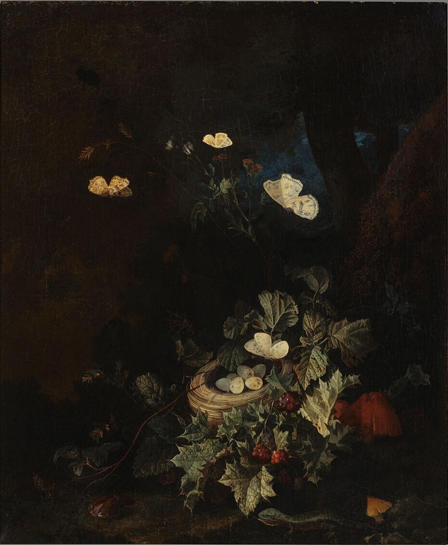 Een vogelnest aan de voet van een boom Museum Boijmans Van Beuningen Een vogelnest aan de voet van een boom Museum Boijmans Van Beuningen