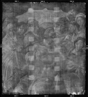 TMSFoto/OK/1291 (OK)_XRF_STITCH_RKG2020_06-11.jpg