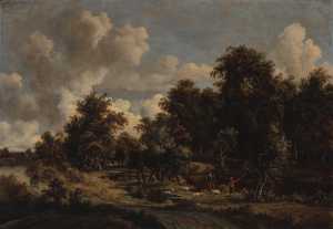 wooded-landscape