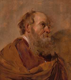 kop-van-een-grijsaard