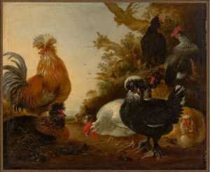rooster-with-chickens