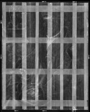 TMSFoto/OK/1347 (OK)_XRF_STITCH_RKG2020_06-11.jpg