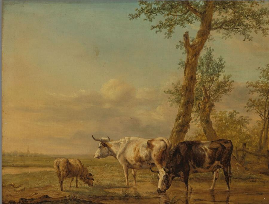 Landschap met koeien