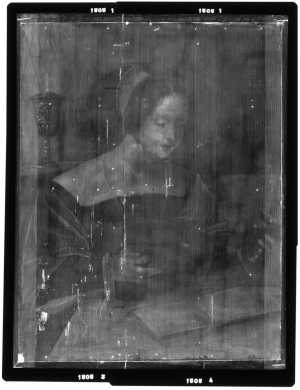 TMSFoto/OK/1505 (OK)_XRF_stitch_RKG2020_06-11.jpg