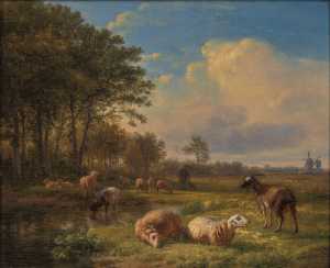 vlak-landschap-met-bomen