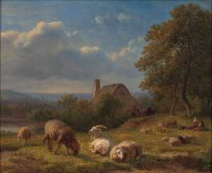 Heuvelachtig landschap