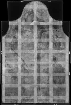 TMSFoto/OK/1629 (OK)_XRF-STITCH_RKG2020_06-11.jpg