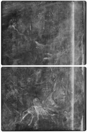 TMSFoto/OK/1738 (OK)_XRF_montage_RKG2020_06-11.jpg