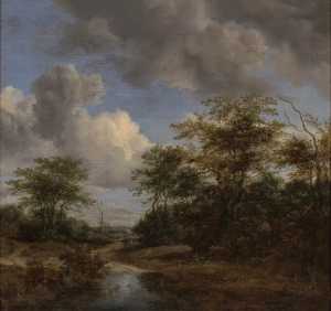 sandy-road-between-trees