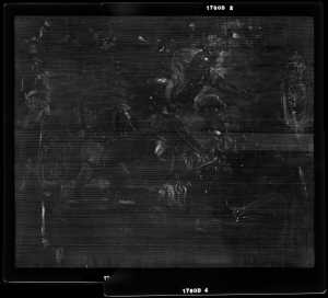 TMSFoto/OK/1760 d (OK)_XRF_STITCH_RKG2020_06-11.jpg