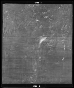 TMSFoto/OK/1760 (OK)_XRF_STITCH_RKG2020_06-11.jpg